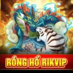 Rồng hổ Rikvip